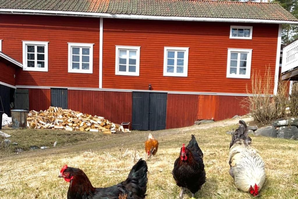 Egen Stuga Och Vedeldad Bastu Linghed Exterior foto
