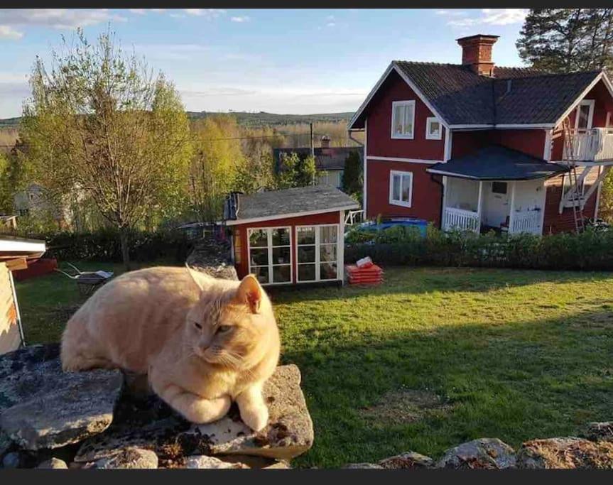 Egen Stuga Och Vedeldad Bastu Linghed Exterior foto